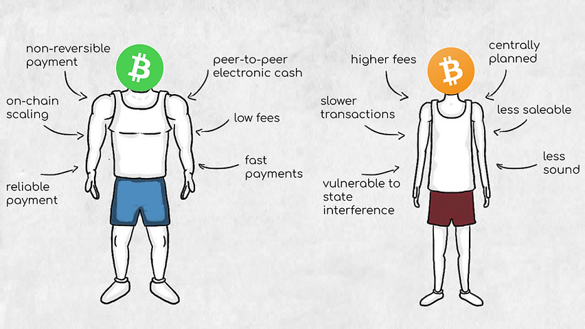 Bitcoin Cash vs Bitcoin