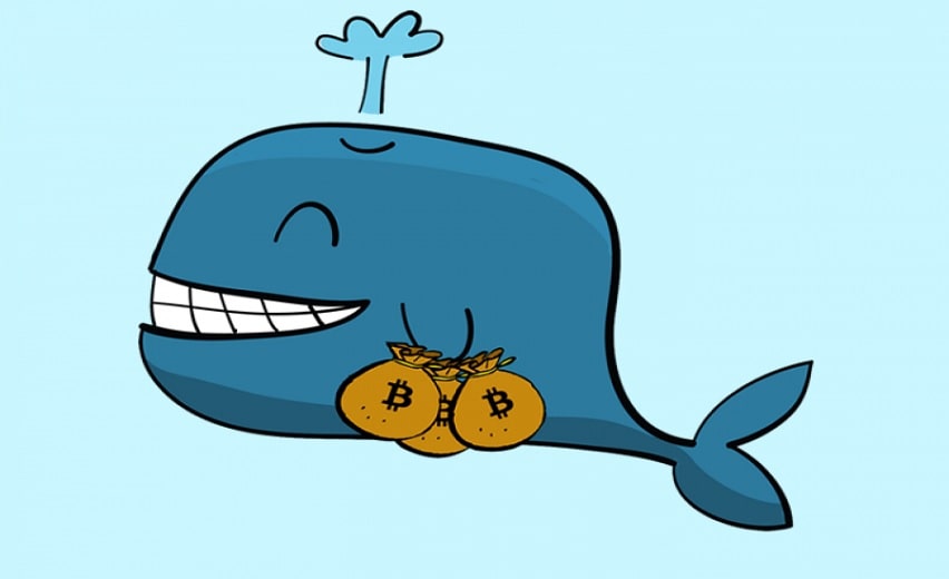 What Is Crypto Whale